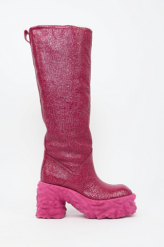 Сапоги На Каблуке